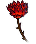 mystical_flower_of_draven.png